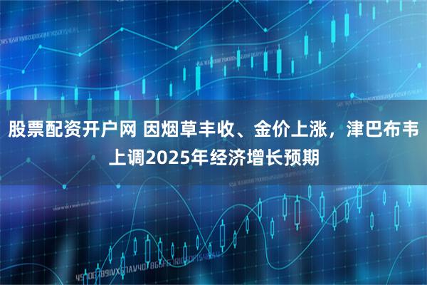 股票配资开户网 因烟草丰收、金价上涨，津巴布韦上调2025年经济增长预期