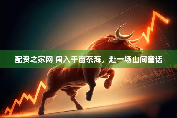 配资之家网 闯入千亩茶海，赴一场山间童话